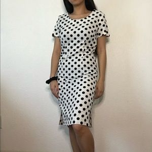 🌱 Black and White Polka-Dot Dress